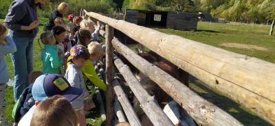 IMG_20261007_102925.jpg