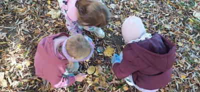 IMG_20261023_104747.jpg