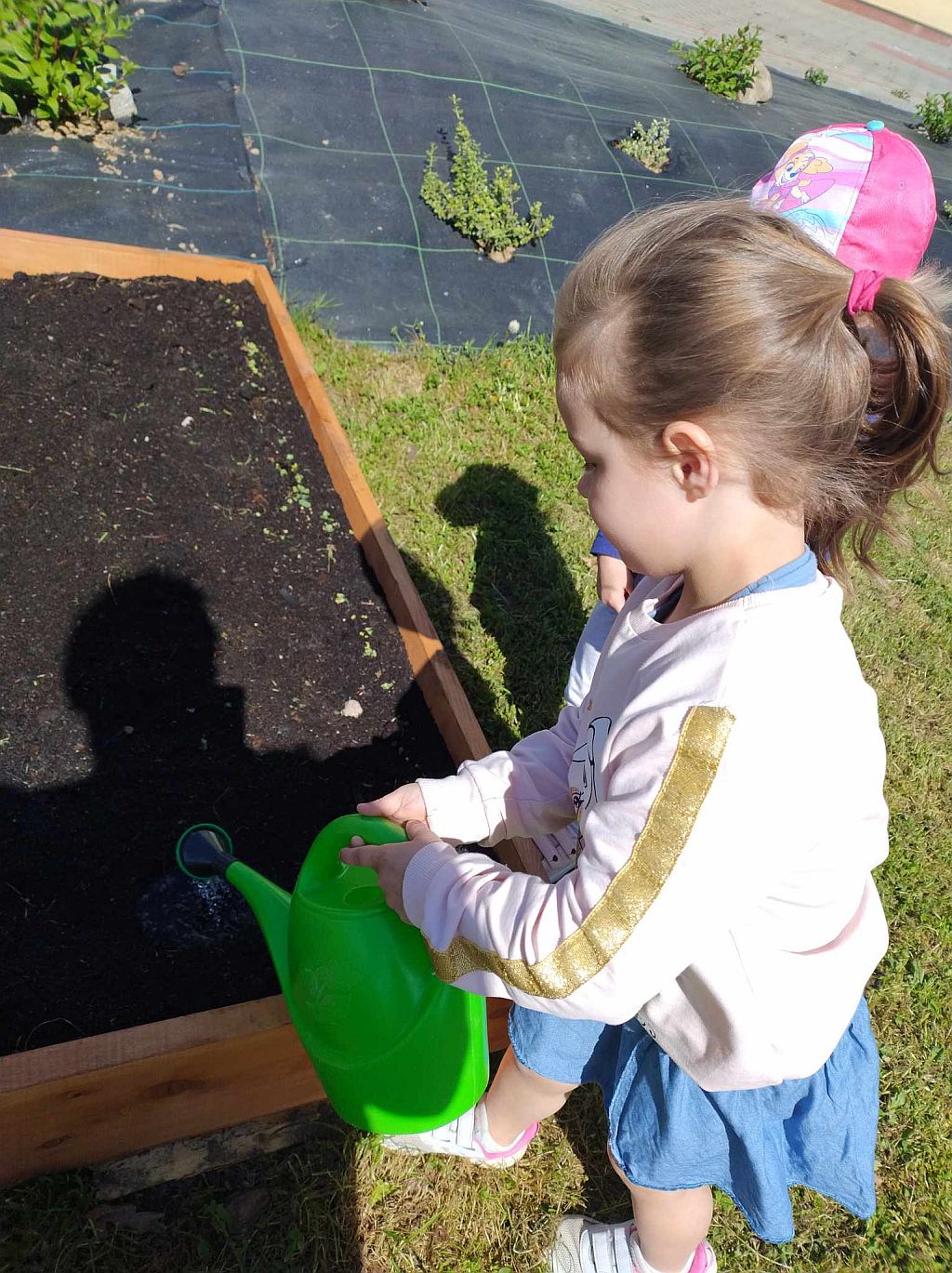 Projekt edukacyjny „Popcorn prosto z ogródka